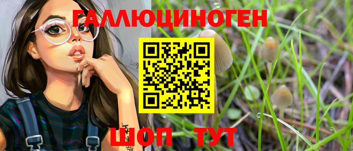 Галлюциногенные грибы GOLDEN TEACHER Архангельск