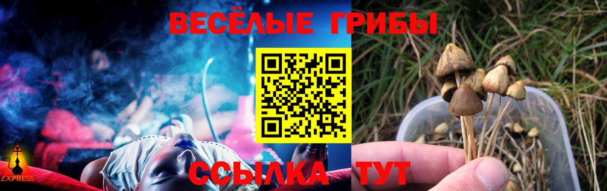 Псилоцибиновые грибы мицелий  Псилоцибиновые грибы Psilocybe  Вход с VPN  Архангельск 
